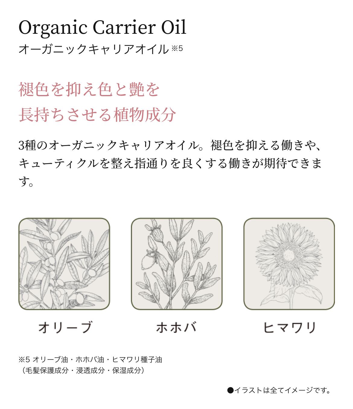 RENOVO TEMPUS Treatment レノーボ テンプス トリートメント うるおい