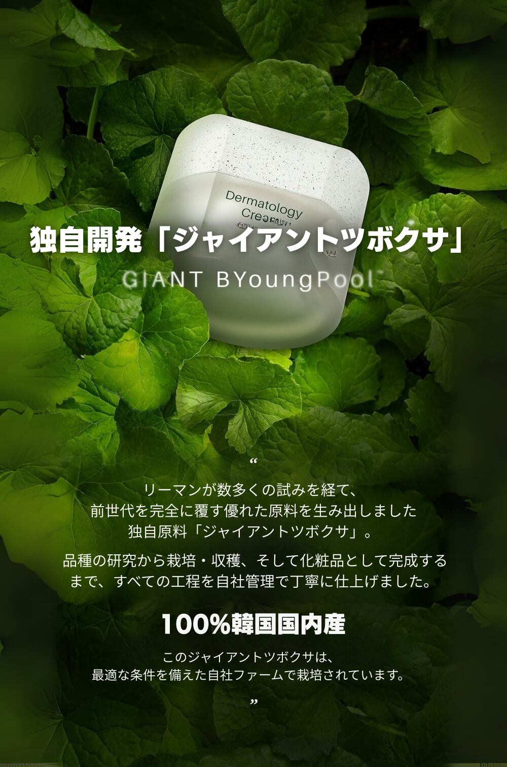 ICD】Dermatology Cream (ダーマトロジークリーム) | ICD Beauty