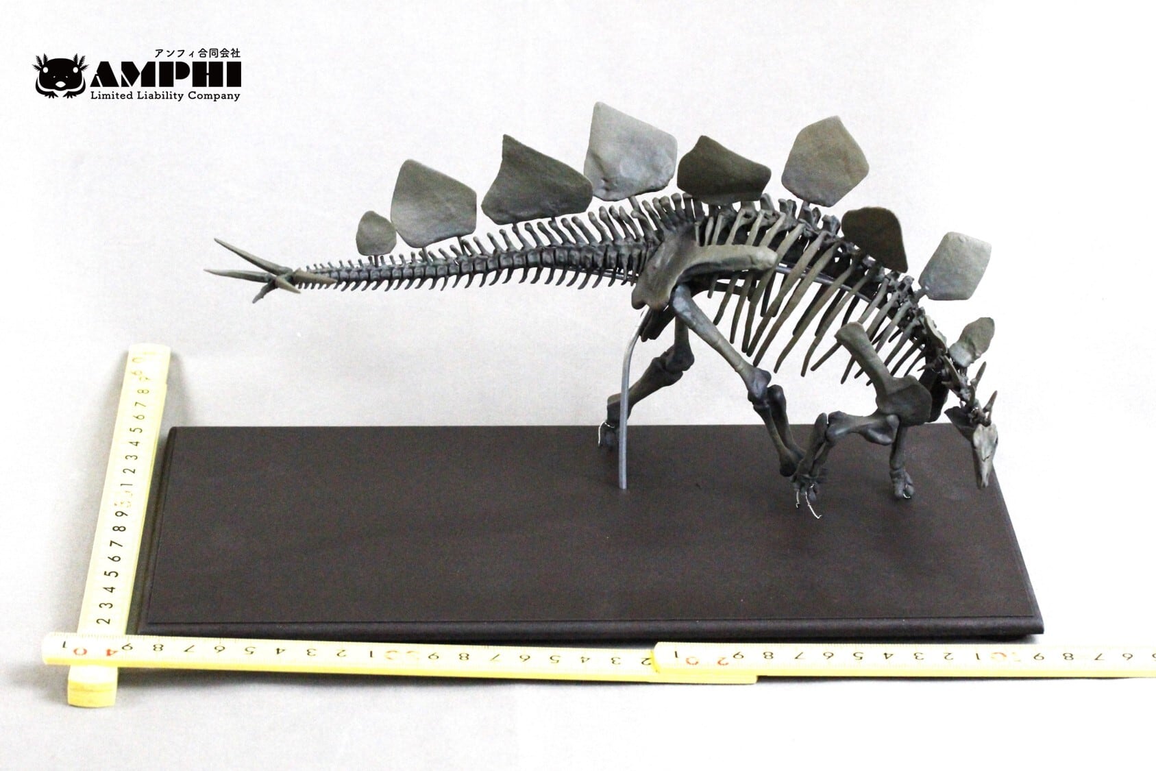 古生物レプリカ 20個セット 恐竜頭骨レプリカ 20個セット
