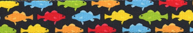 Rainbow Fish Black 首輪＋リードセット Mサイズ - Yellow Dog Design