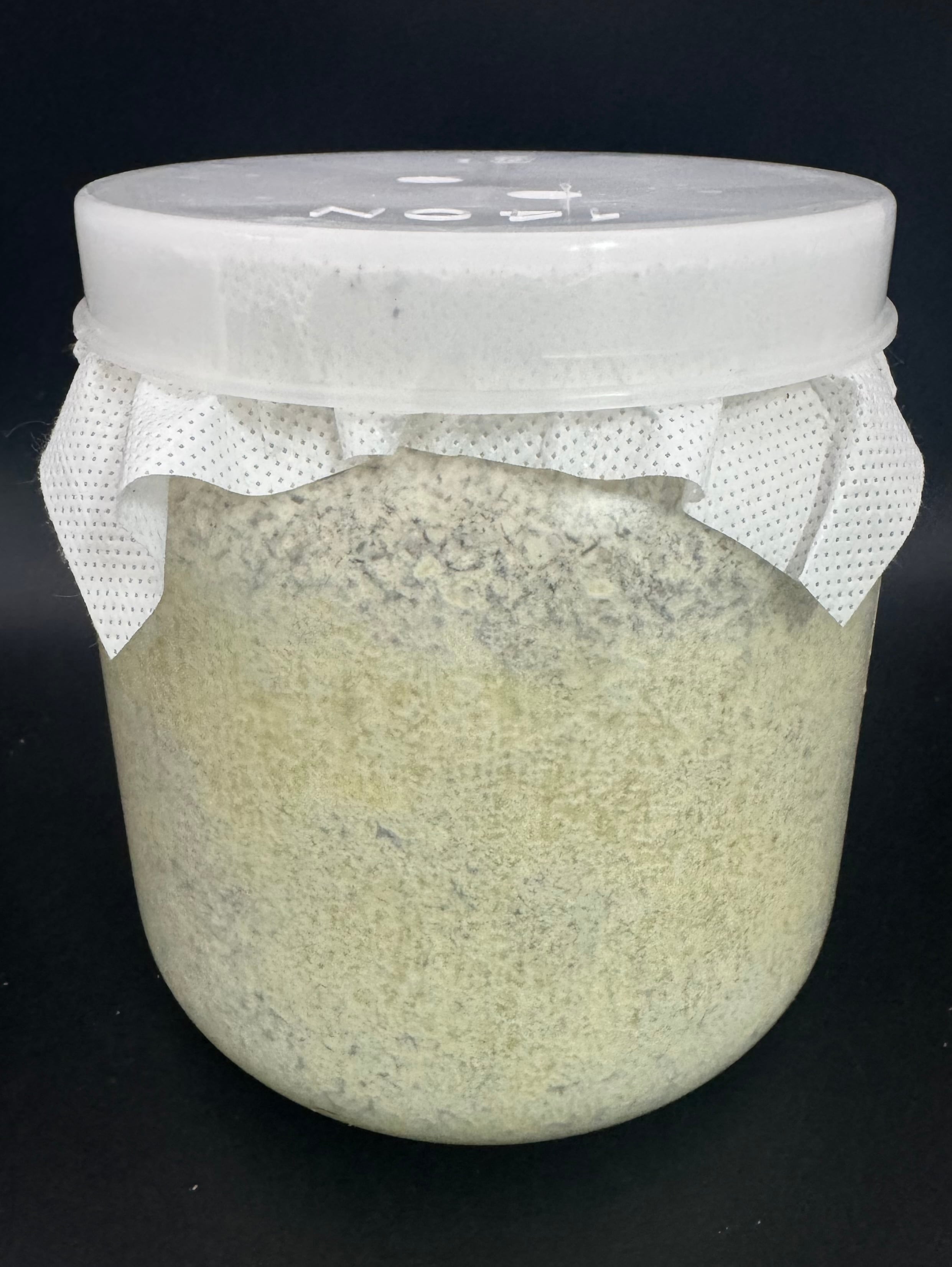 産卵用菌床 | KPW公式オンラインショップ