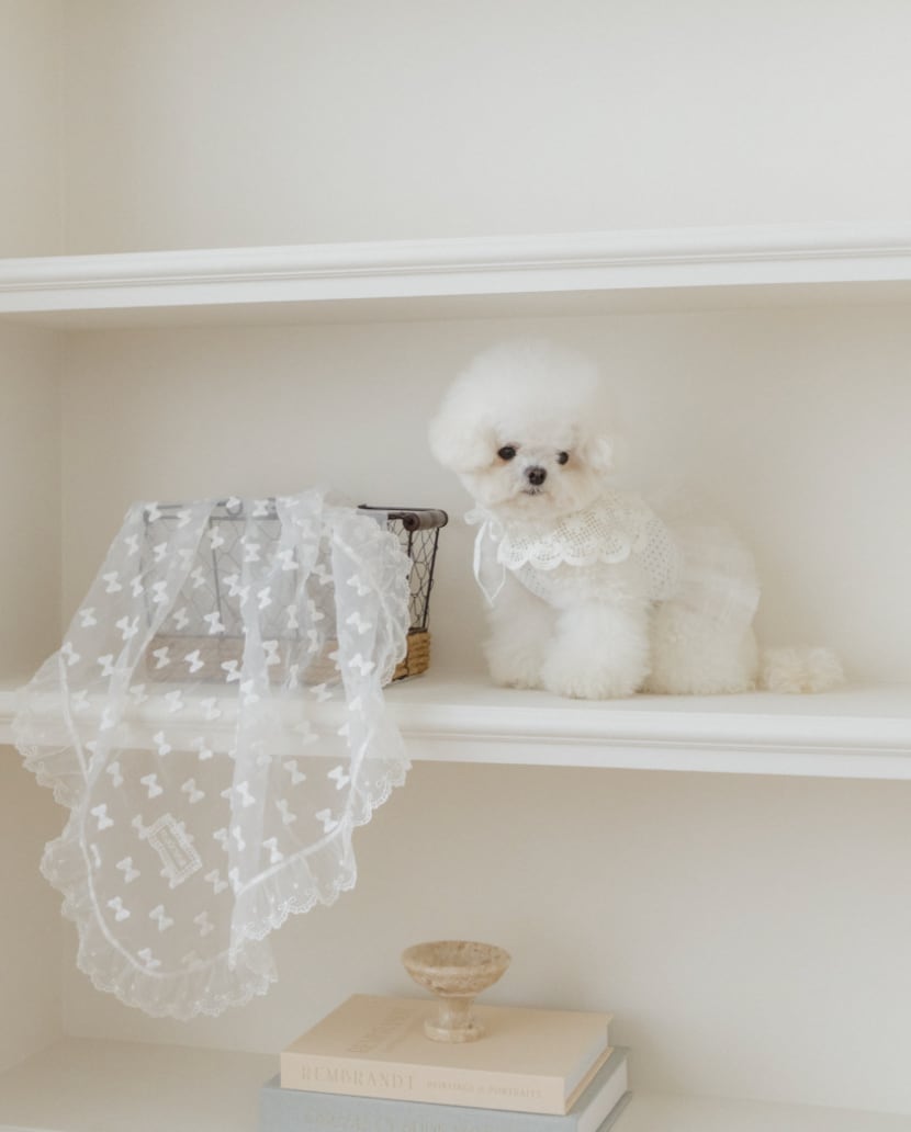 予約【malrang】See Through Popcorn Blanket (White)