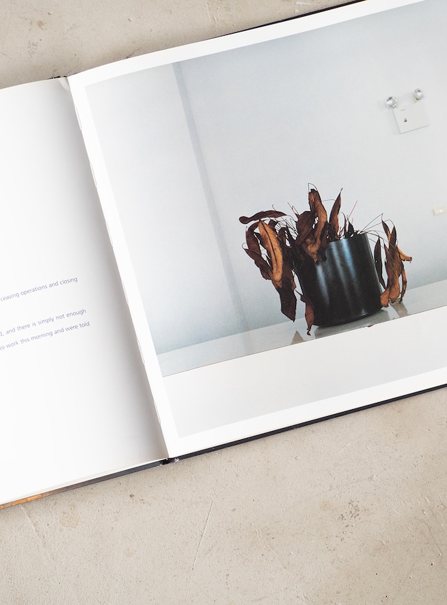 "Phillip Toledano" used BANKRUPT photo book
