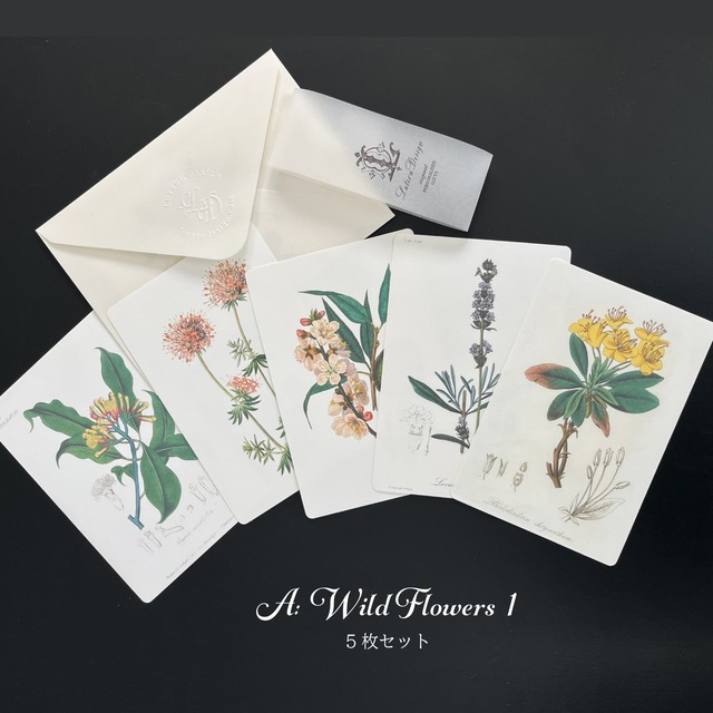 アンティークなボタニカルアートカード5枚セット