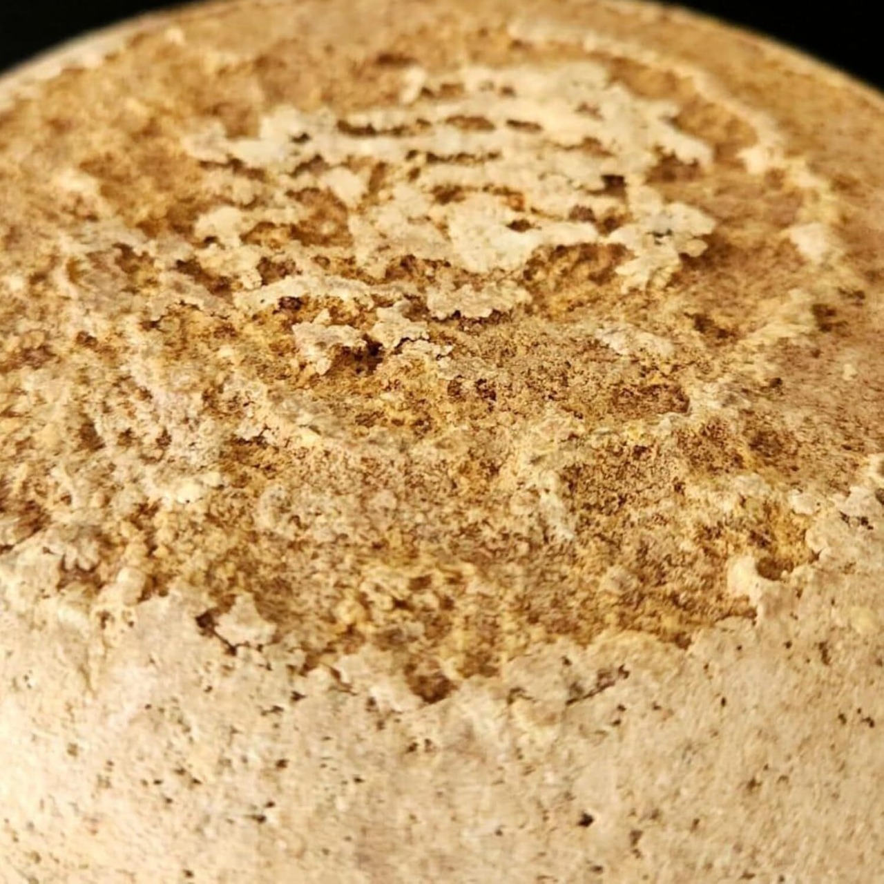 フランス産 グラスフェッド ミモレット 22ヶ月熟成 600g｜切りたてハードチーズ French Grassfed Mimolette Cheese 22-Month Aged 600g | Freshly Cut Hard Cheese
