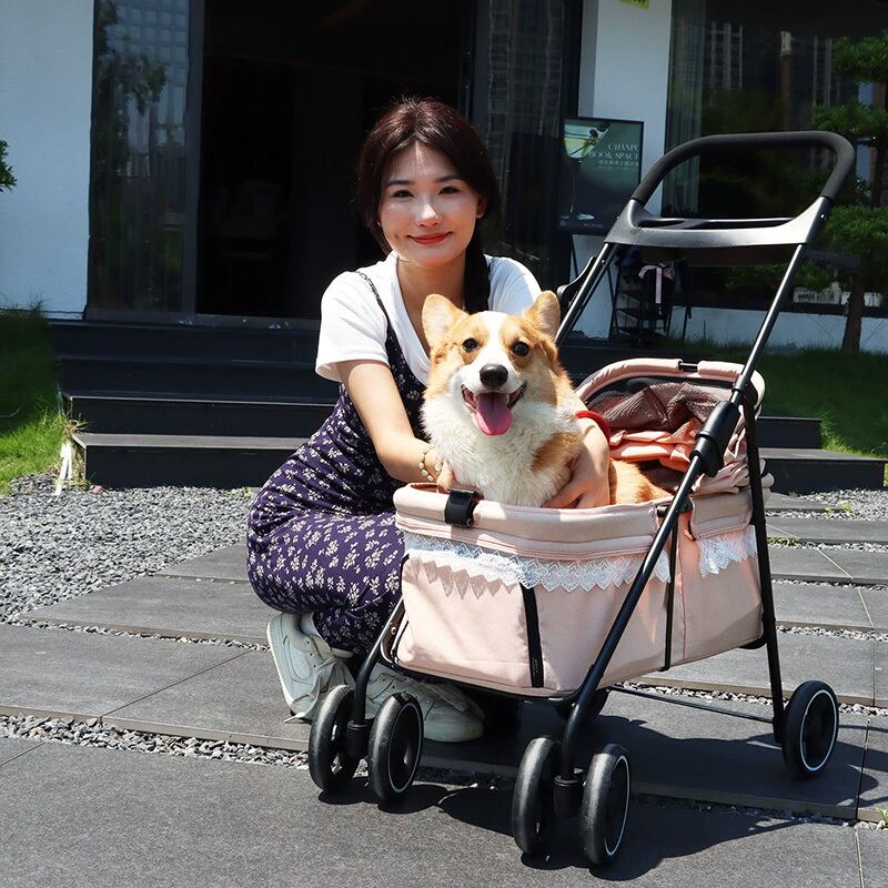 DODOPET ペット用ベビーカー、かわいいレーストリムのプリンセス