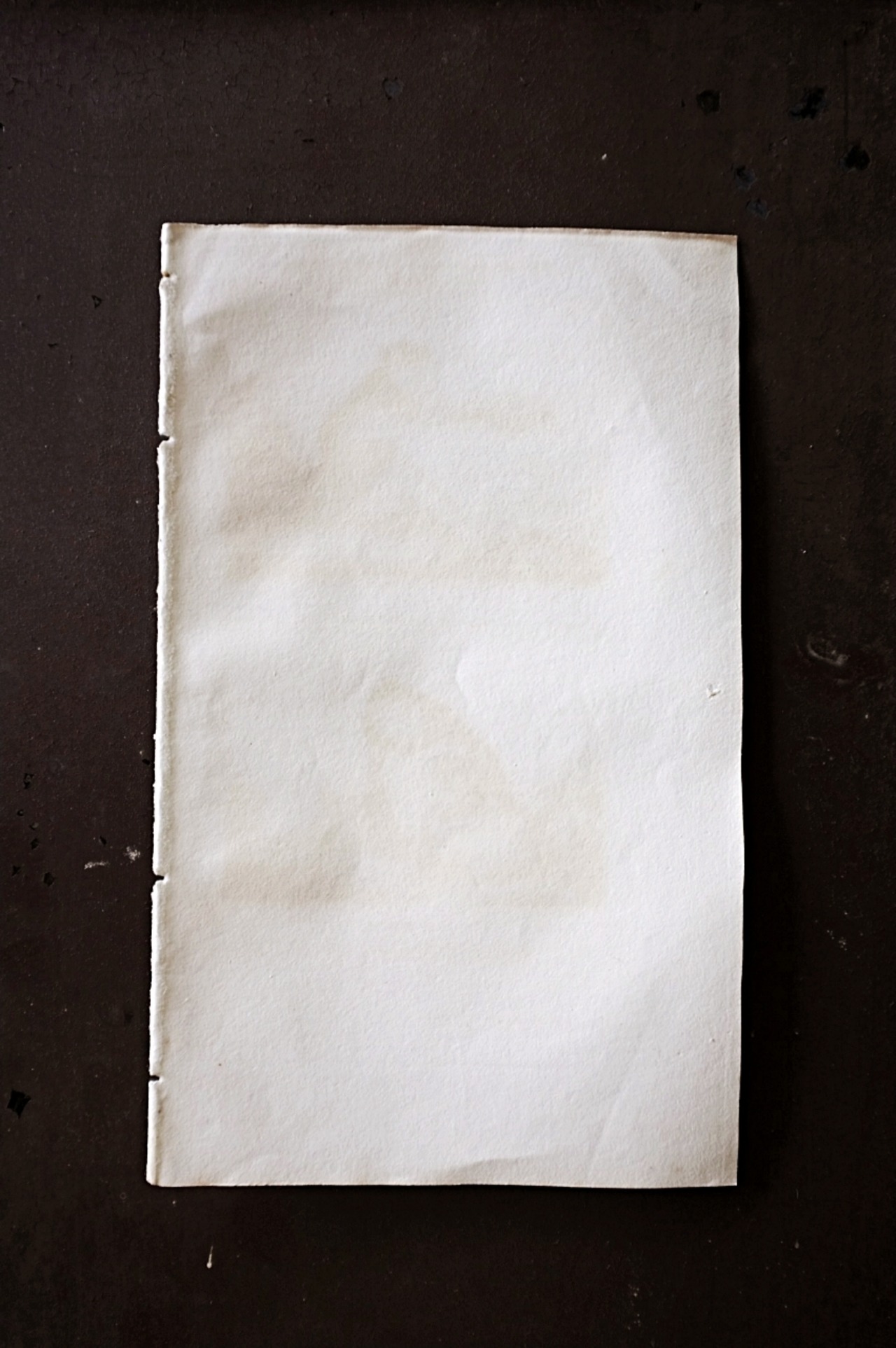 フランス BUFFON 1835s ビュフォン伯爵による動物たちの博物画 マカクザル  アンティーク