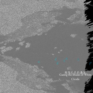 Cicada シカーダ - Gazing the Shades of White [LP]（WIND MUSIC, FLAU）