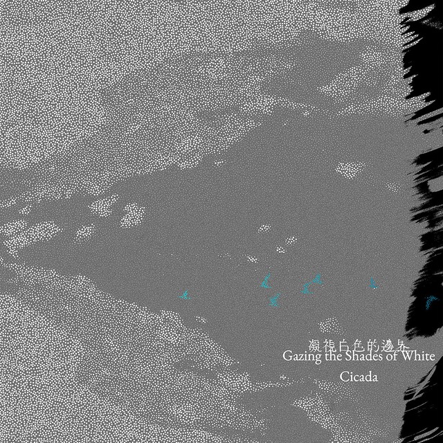 Cicada シカーダ - Gazing the Shades of White [LP]（WIND MUSIC, FLAU）