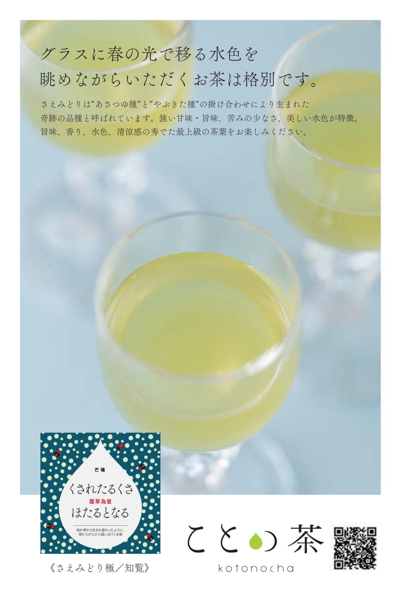 ことの茶　さえみどり極／知覧