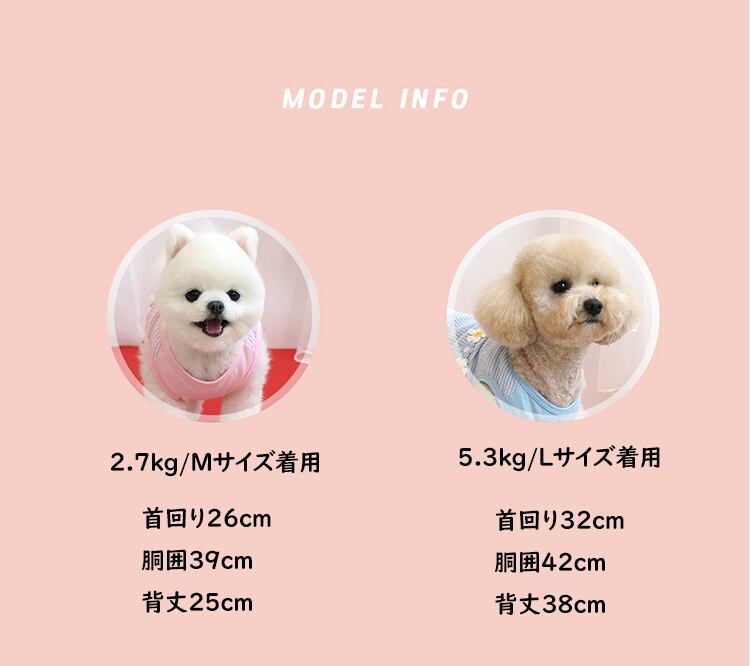 【SALE】chacha flower top S ~ XL 2color / 犬服 春夏 新作 袖なし トップス 可愛い ドッグウェア わんこ服 Tシャツ