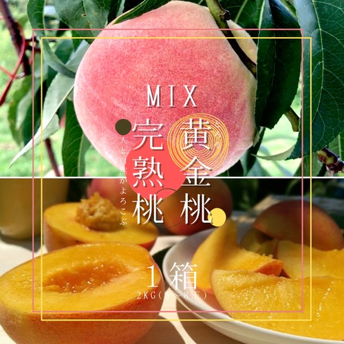 人と自然がよろこぶ完熟桃・とろり黄金桃MIX 2kg(6〜8玉) ~8月下旬頃販売予定！~（送料地域別・同時注文数4まで）