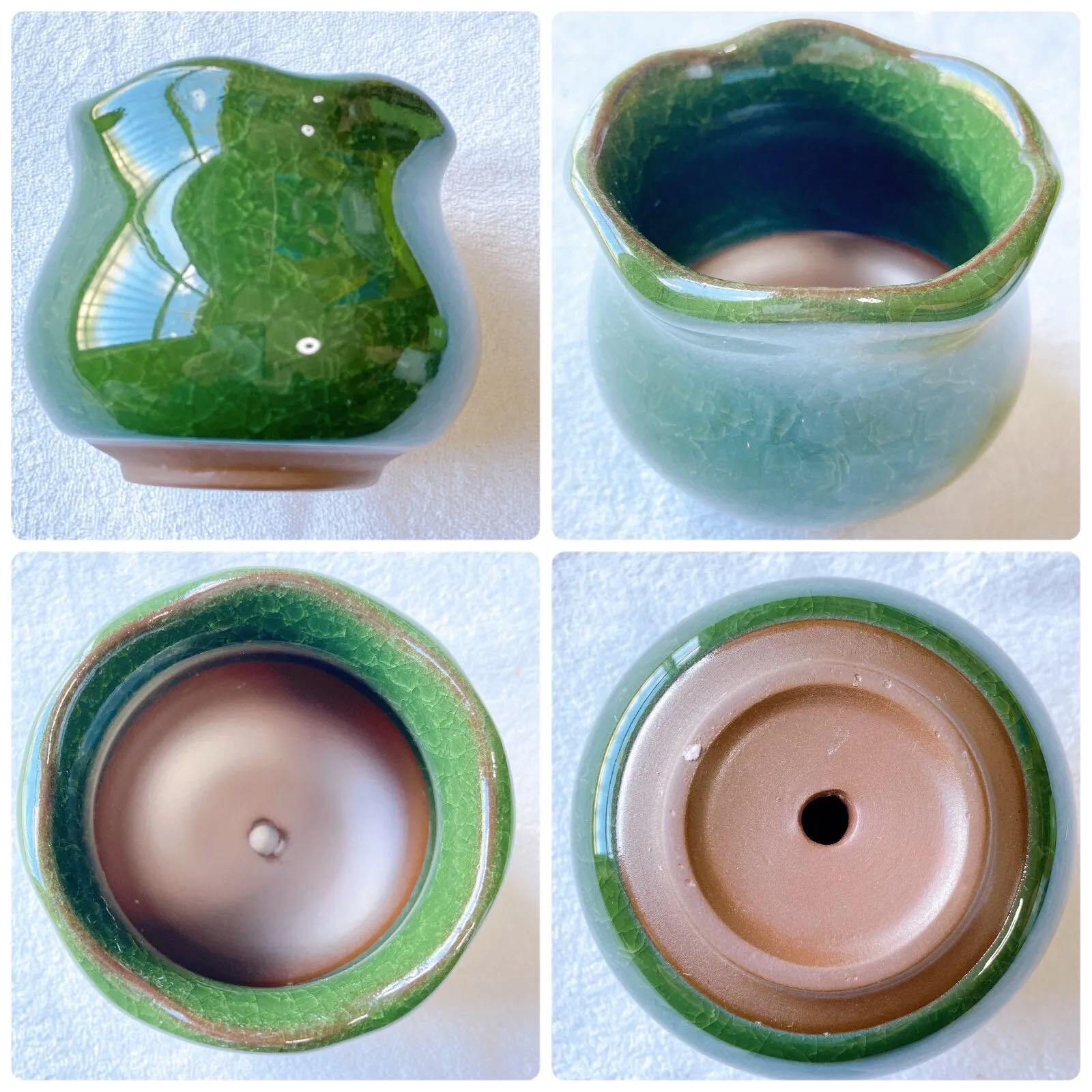 多肉植物・観葉植物・盆栽用に 北欧・ナチュラル・和風に合う緑