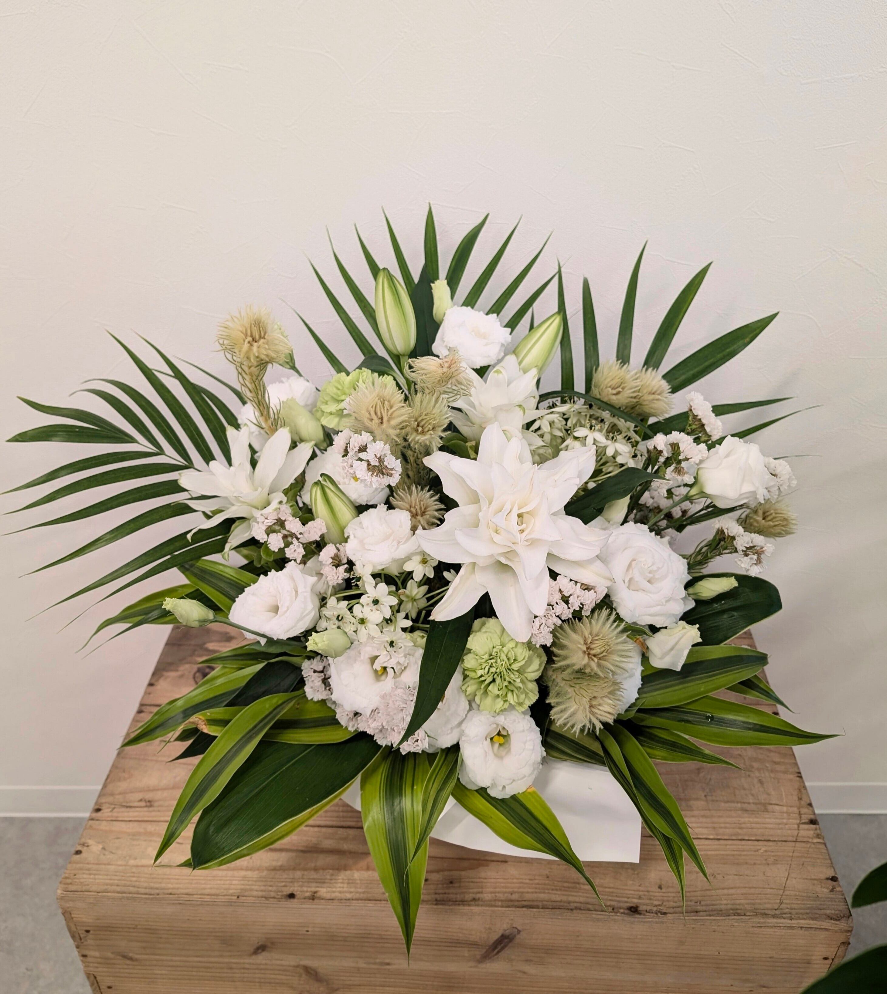 ミモザスワッグ【2025‐4】h50 | 花屋つばき