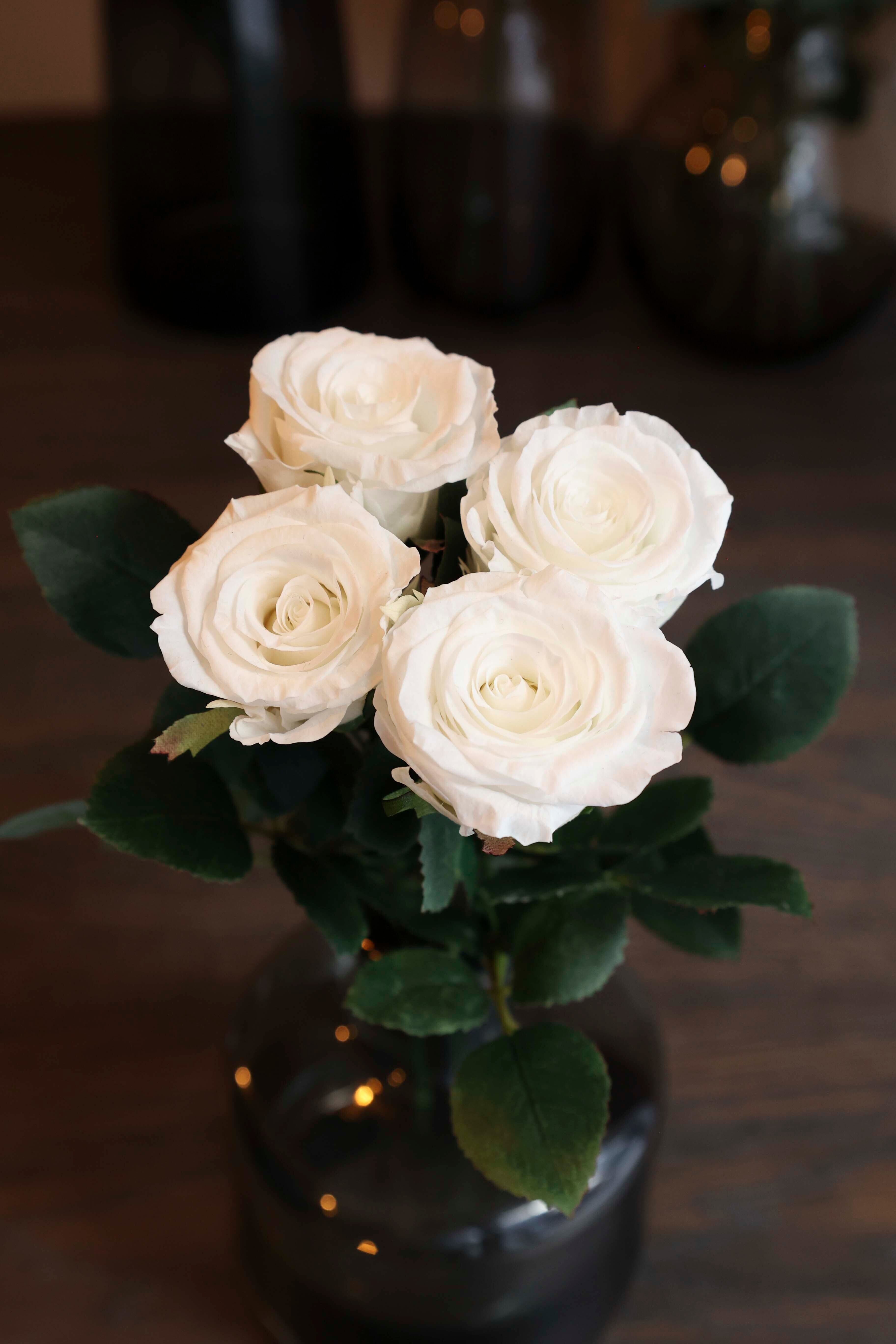 プリザーブドローズ（ホワイト） | beau cadeau