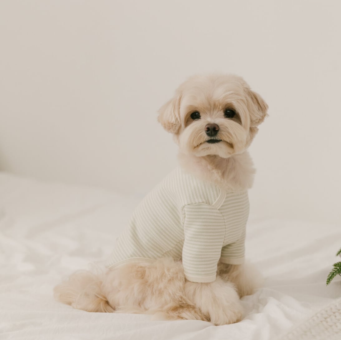 予約【kiki＆nini】Warming Day Tee (OliveGreen)