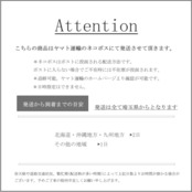 343P　イヤーカフ(片耳用)