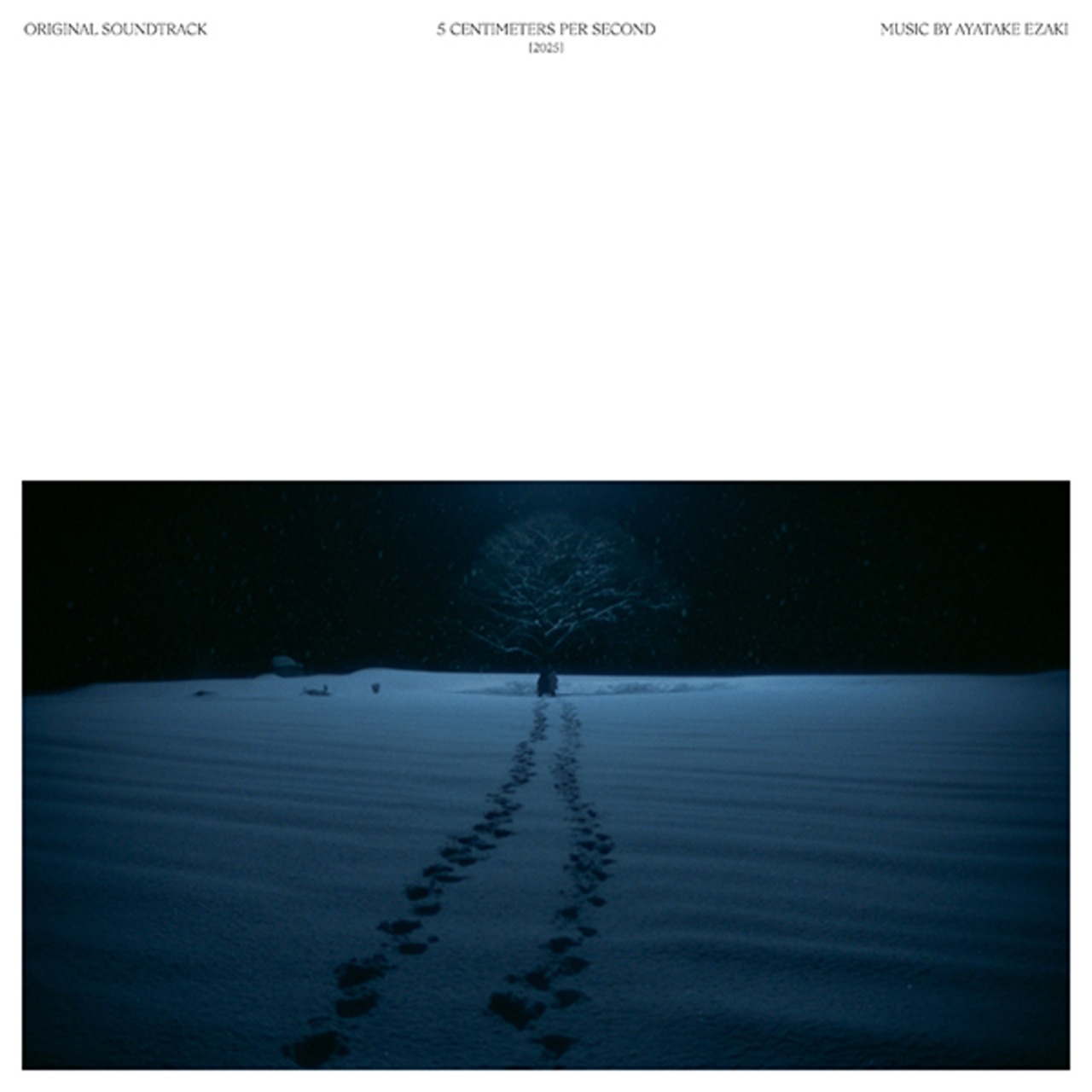 【レコードの日・生産限定盤】江﨑文武「劇場用実写映画『秒速5センチメートルオリジナル・サウンドトラック」アナログ盤(12インチ)