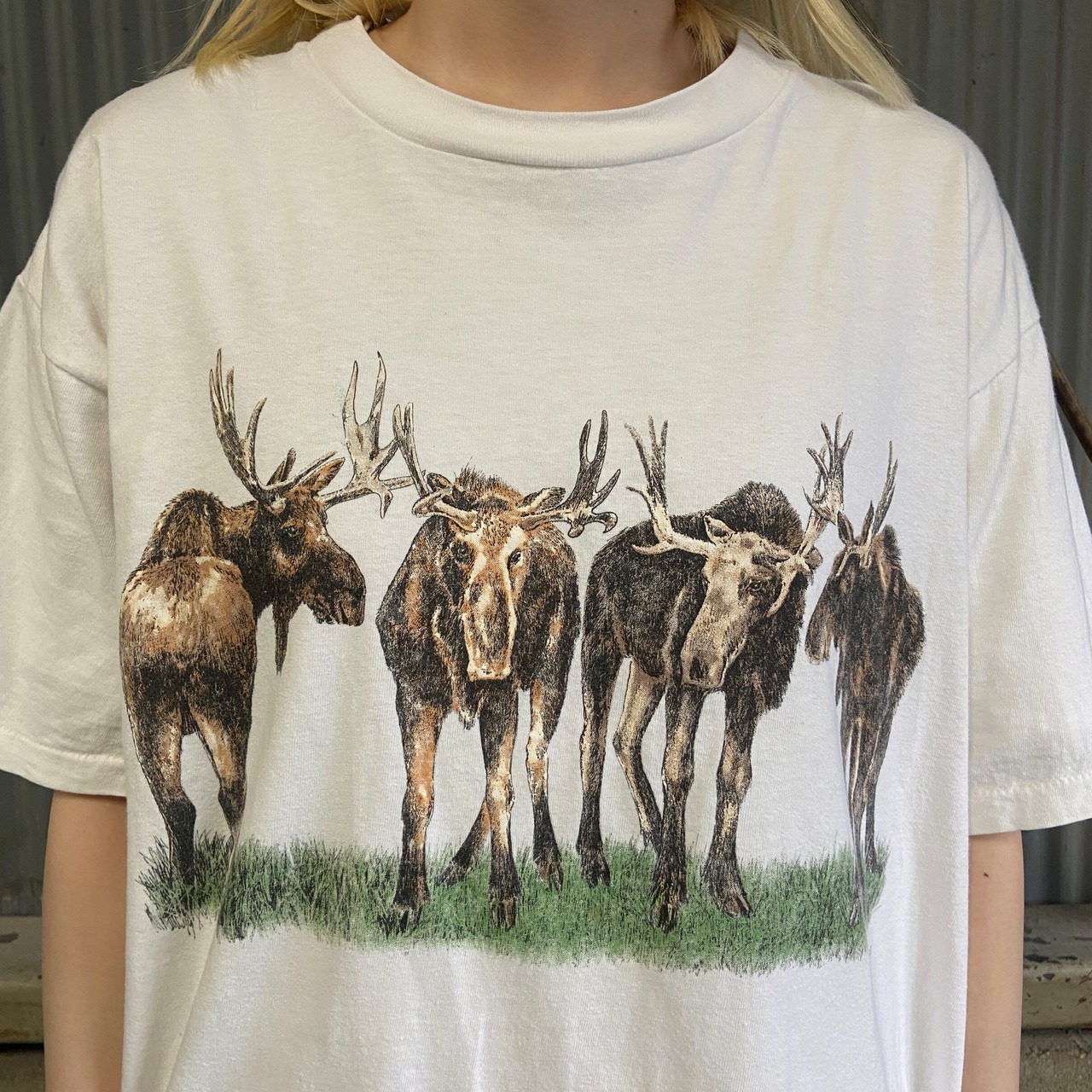 90年代 ヘラジカ アニマル アート 両面プリントTシャツ メンズL 古着 