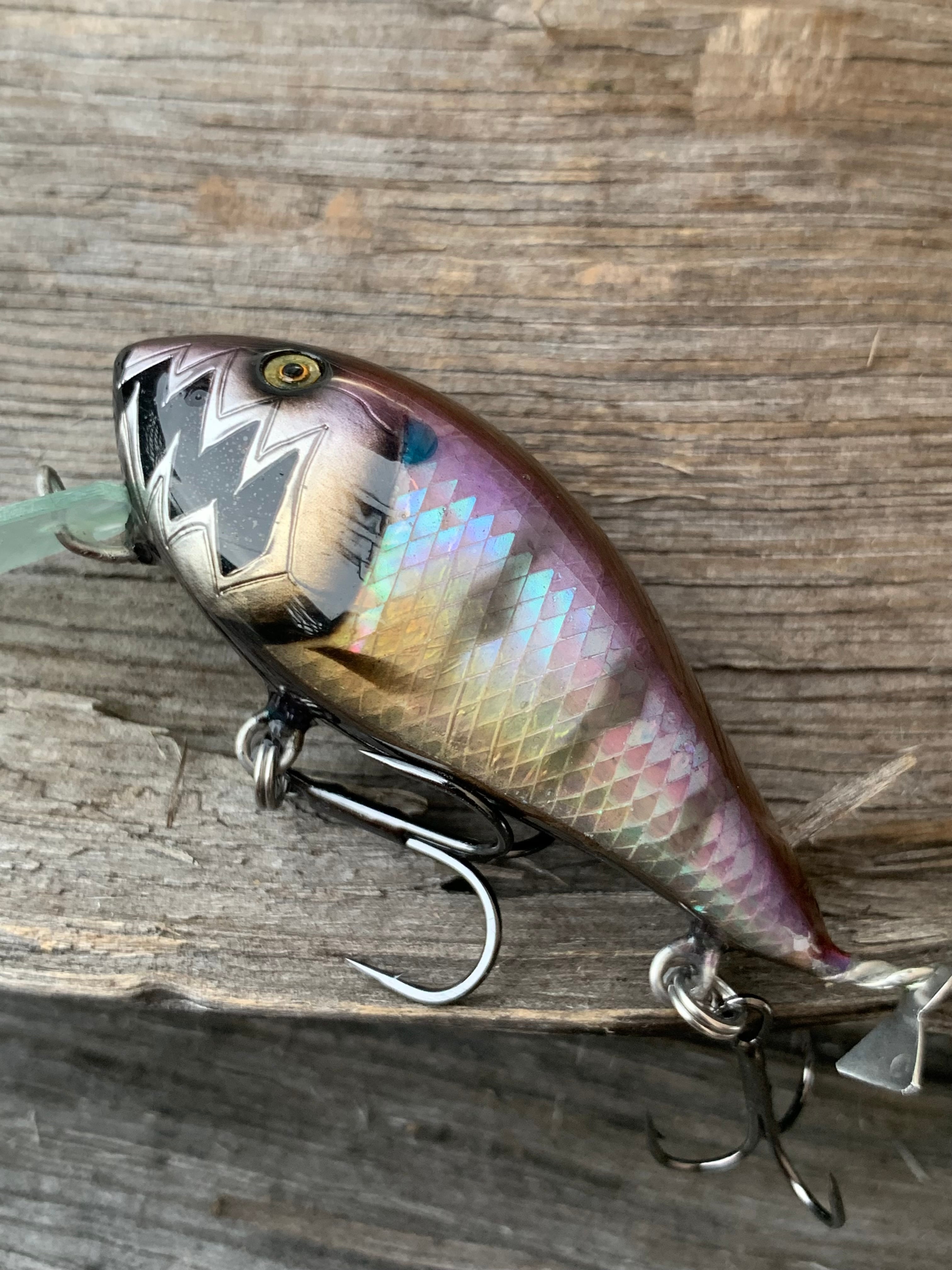 ジャンピングトマトルアーズ　セット ジャンピングトマトルアーズ セット ジャンピングトマトルアーズ