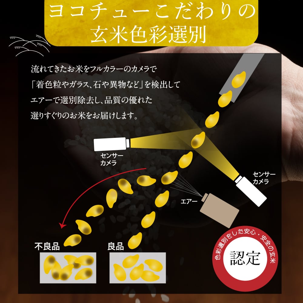 無農薬米コンテスト　金賞受賞米　えびのファーム様　宮崎県産　ハツシモ2kg　玄米　【令和5年産】