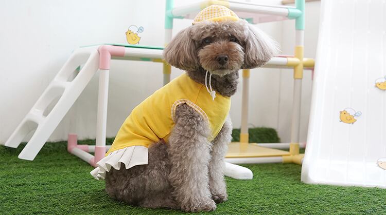 【SALE】 hiyoko onepiece set 2color S ~ XL  /  犬服 春夏 新作 ドッグウェア 袖なし シンプル フリル ドレス お揃い 犬の服 小型犬 中型犬 帽子セット 猫 onepiece44