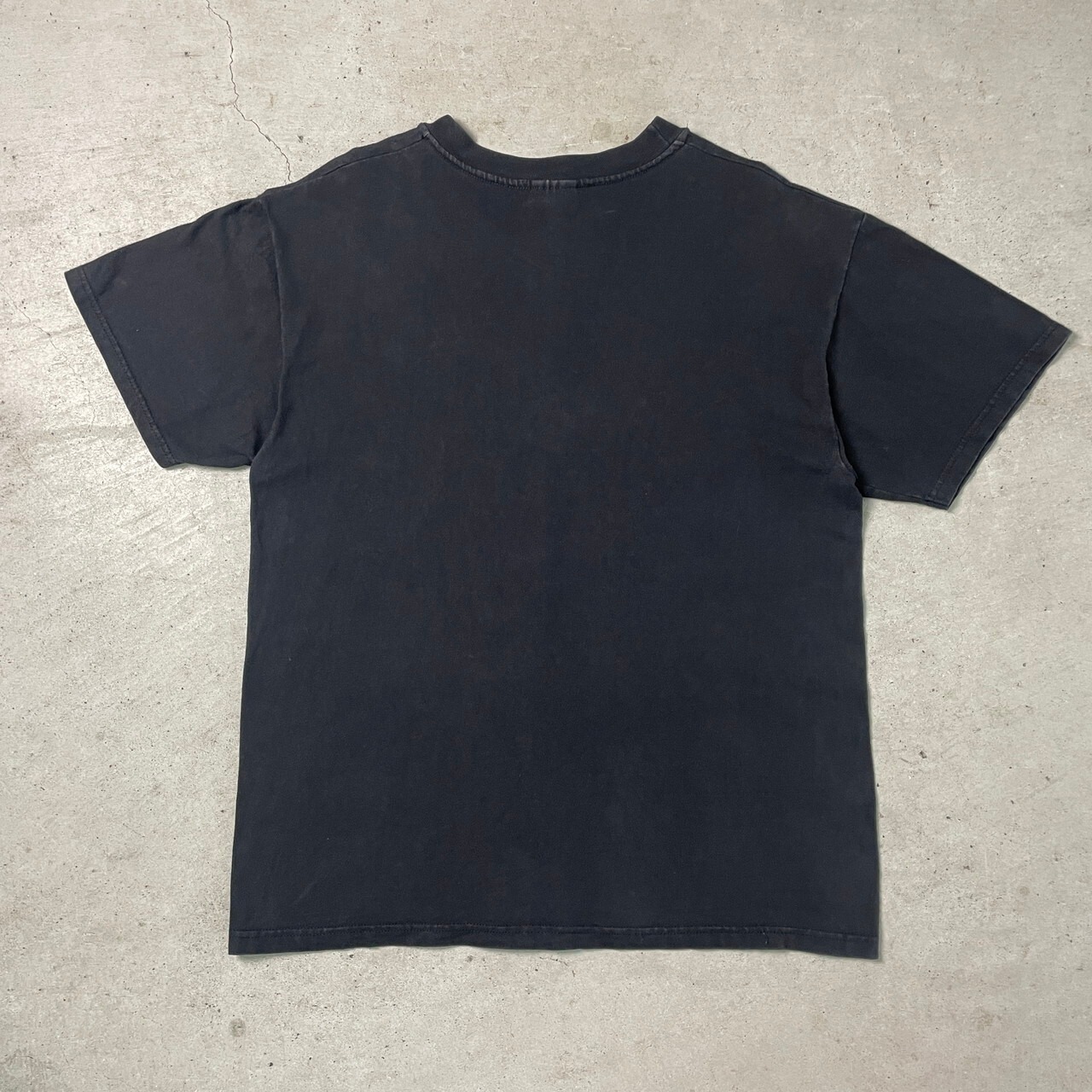 90年代 ヒョウモントカゲモドキ アニマル プリントTシャツ メンズL 