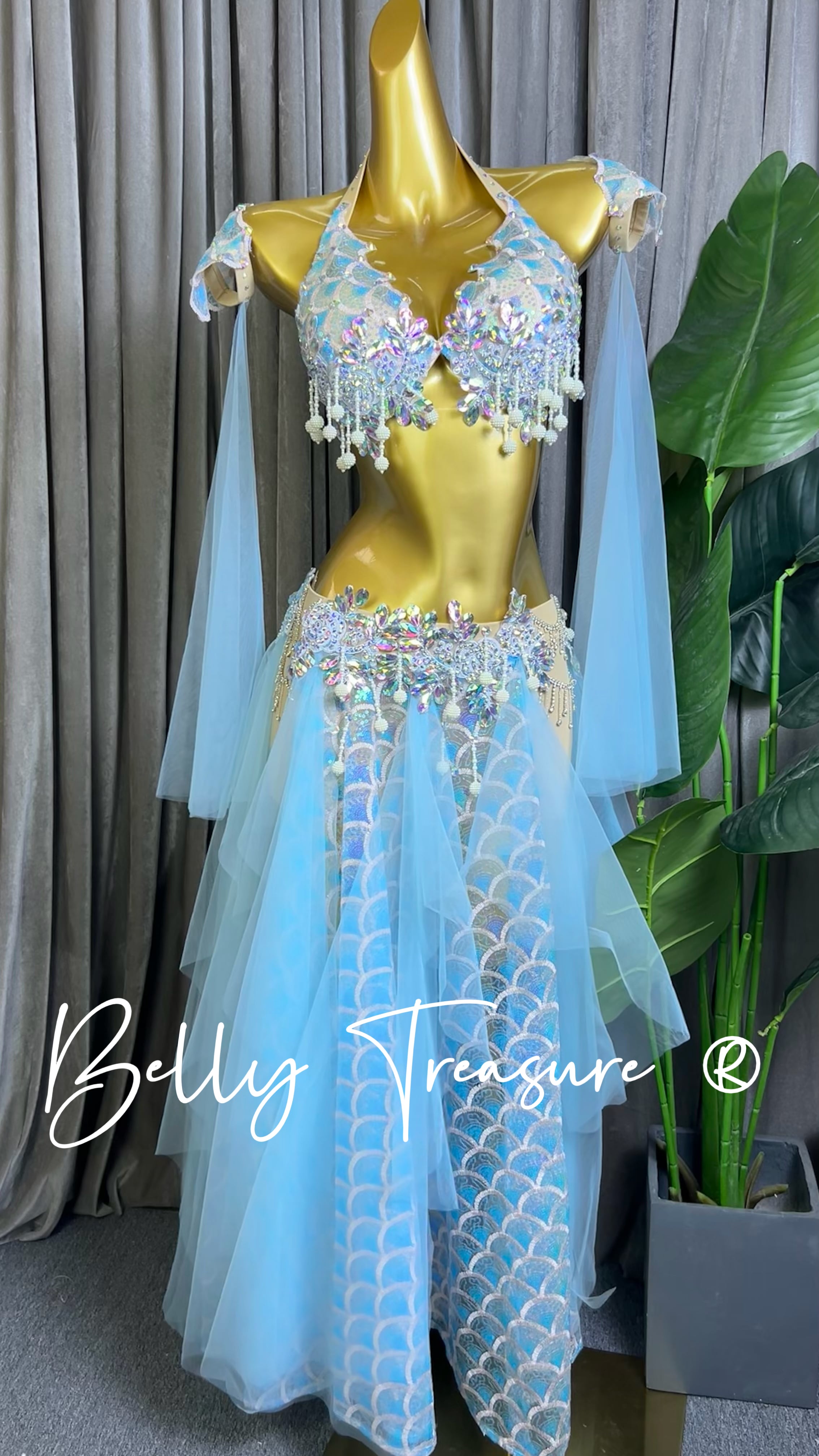 Bellydance Costume | Belly Treasure®︎