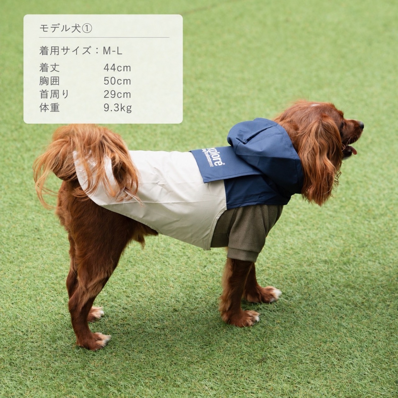 38DOG RAINCORT / NAVY