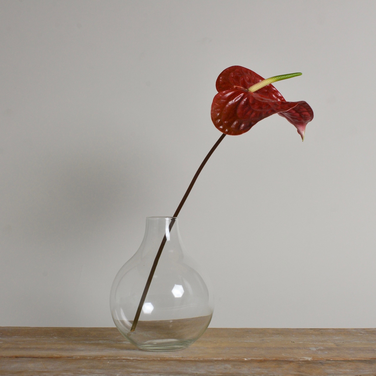 リューズガラス フラワーベース パウト L〈花瓶  / ディスプレイ 〉