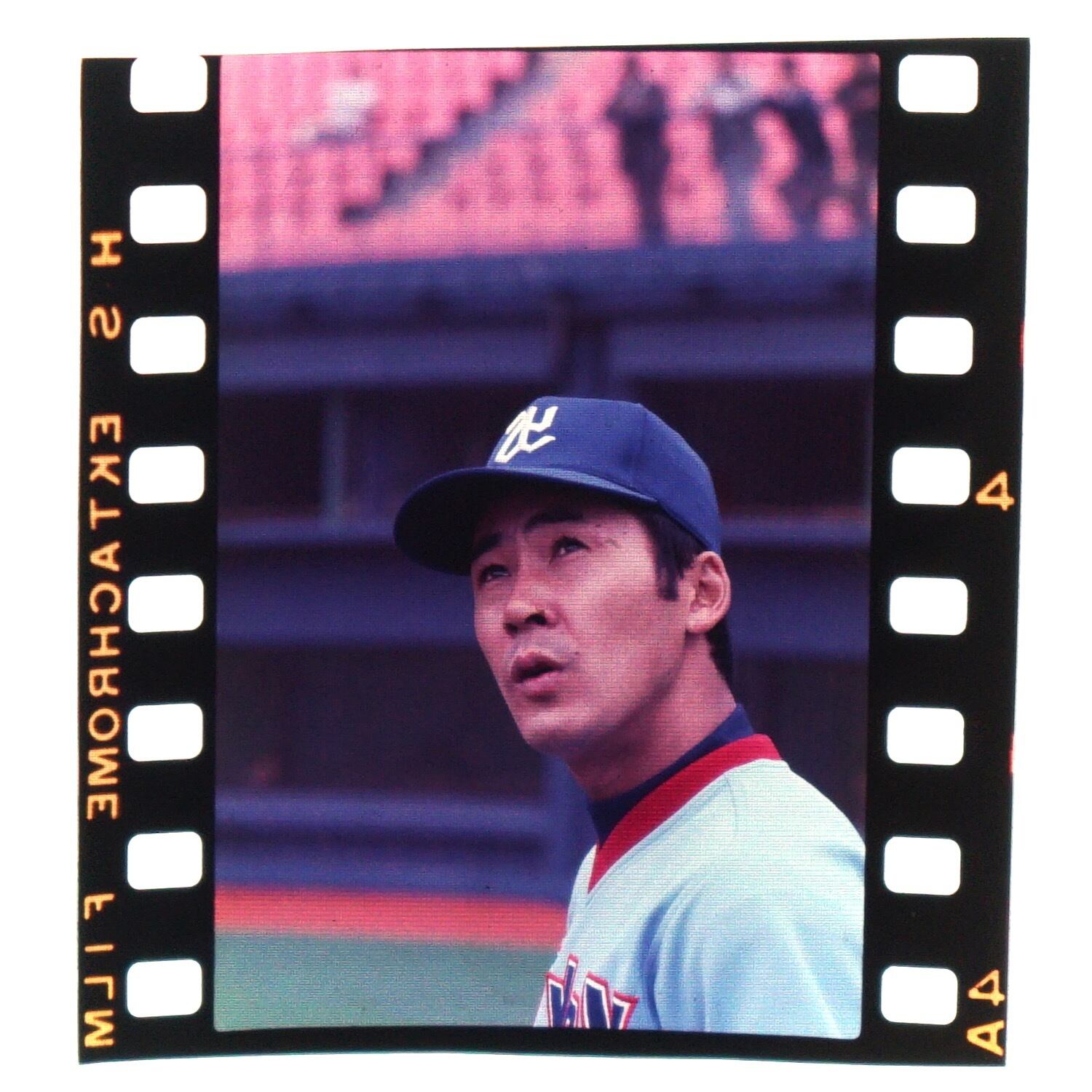 2441G2 若松勉 ヤクルトスワローズ 1970年代 古写真 35mm ポジフィルム
