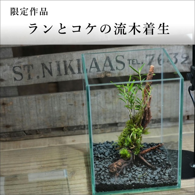 Rfwjlpl75aszlm Rfwjlpl75aszlm