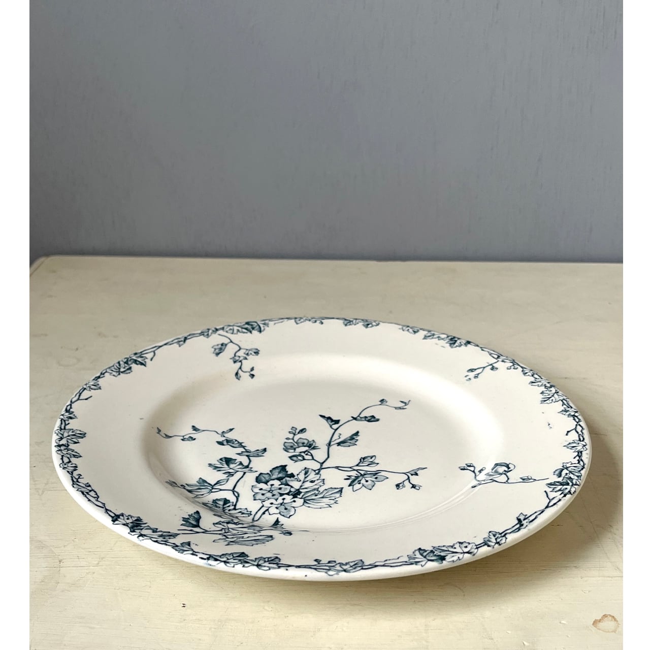 *️⃣プロフ必読❣️10/19迄セール❣️フランスアンティーク サルグミンヌ 花リム フランス製 ヴィンテージ 食器】サルグミンヌ 花リム カップ＆ソーサー