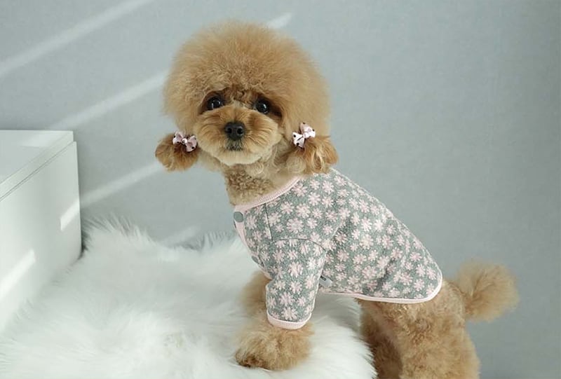 baby flower cardigan XS ~ XL 3color  /  犬服 新作 可愛い 犬の服 トップス ドッグウェア カーディガン 小型犬 中型犬 お揃い 花柄