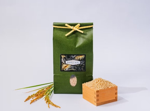 【令和7年産】乳酸菌あきたこまち玄米 BROWN RICE  5㎏