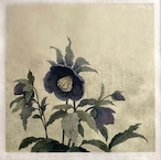岩切裕子「solitude(Christmas rose)」 IWAKIRI Yuko, woodcut print, sheet thumbnail 1