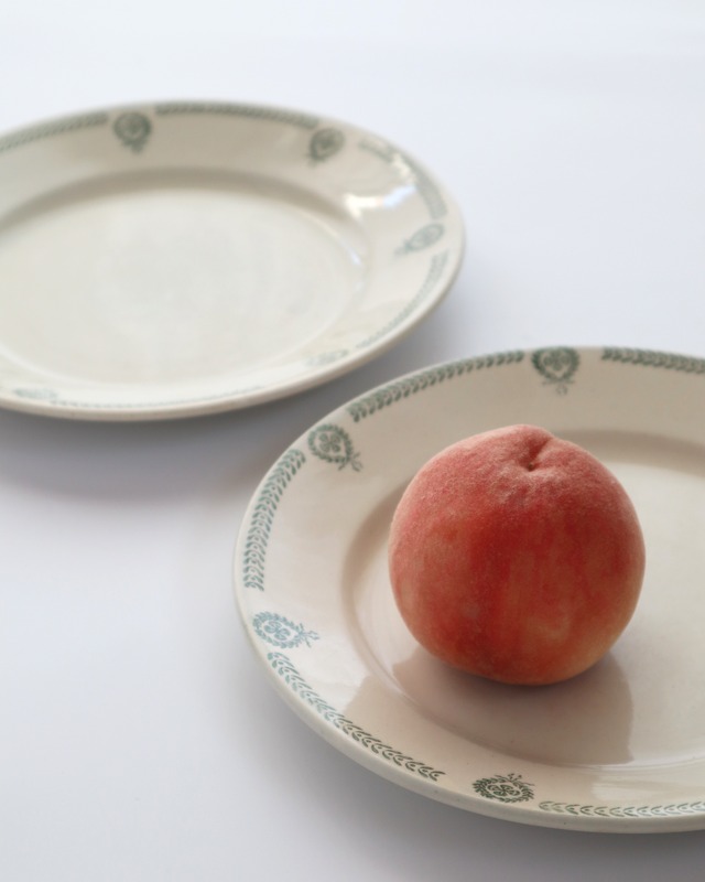 faïencerie de Castres 南仏 カストル窯 葉っぱのガーランドの平皿プレート /B