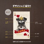 【キラキラ箔押し】名刺〈トランプstyle〉★100枚入