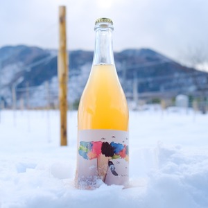 Set me free 2025 / 自由にして