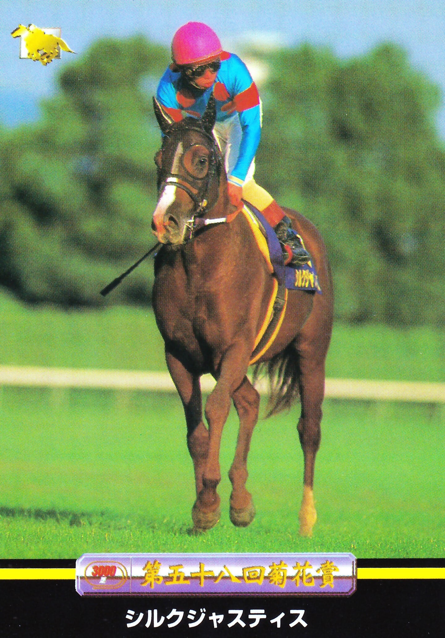 シルクジャスティス：第58回 菊花賞出走馬「サラブレッドカード 97年