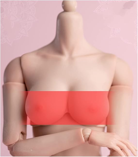 Tbmodel] Worldbox 1/6 フィギュア 女性 バスト 胸 交換パーツ