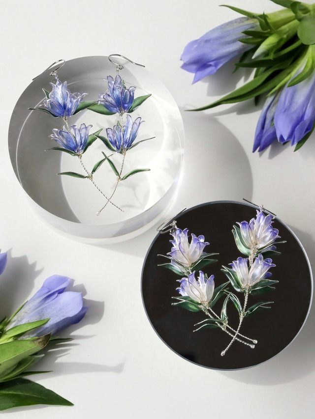 秋風に揺れ舞う竜胆