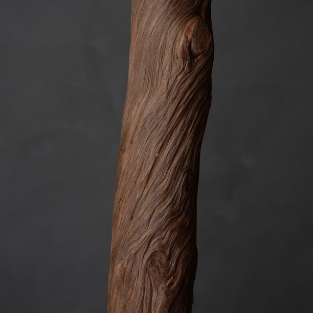 log