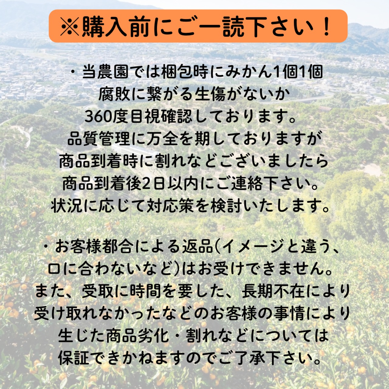 【12月15日-21日発送分】通販の虎早生みかん（5kg）