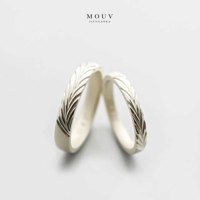 事例｜オリーブ