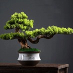 盆栽 人工盆栽 人工観葉  35cm×50cm フェイクグリーン フェイクプランター 初心者 置き物 オブジェ