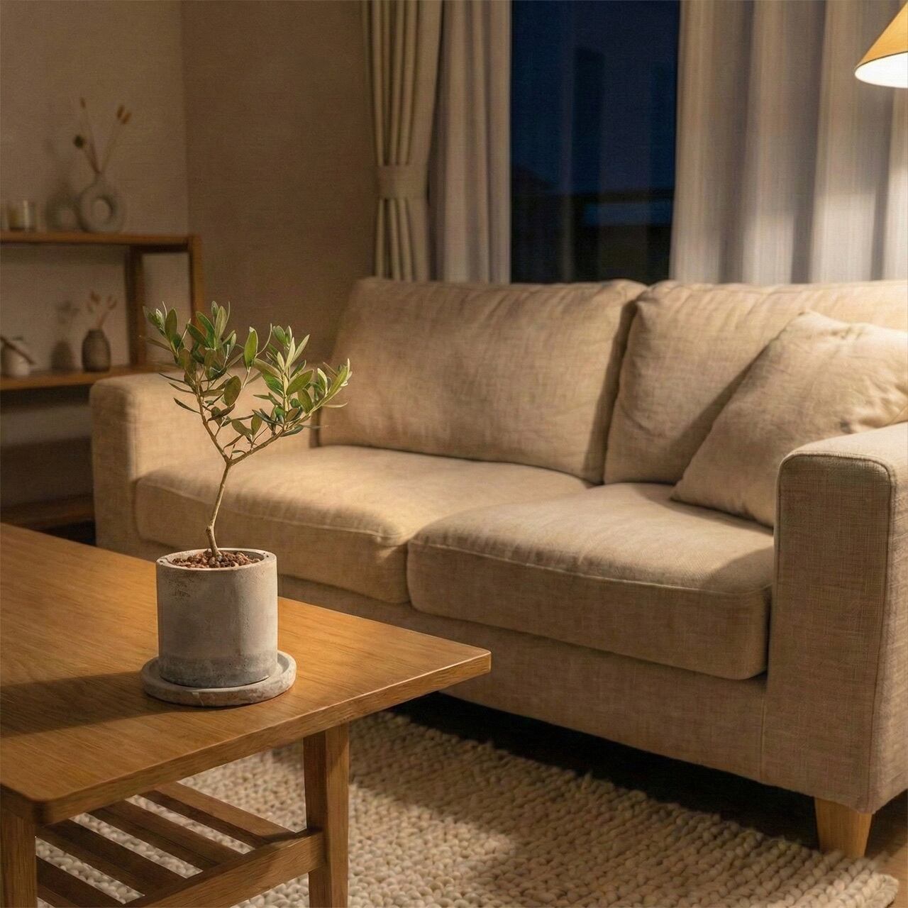 卓上サイズのミニ観葉植物 オリーブの木 マンザニロ こだわりのモルタルの手作り鉢 省スペースで飾れるインテリア【虫発生抑制】