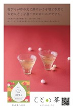 ことの茶　八女誉／八女