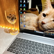 美品/HP 250 G9 /2022年式/学生向け/メモリ8GB/第12世代/フルHD/SSD256GB/人気ノートパソコン