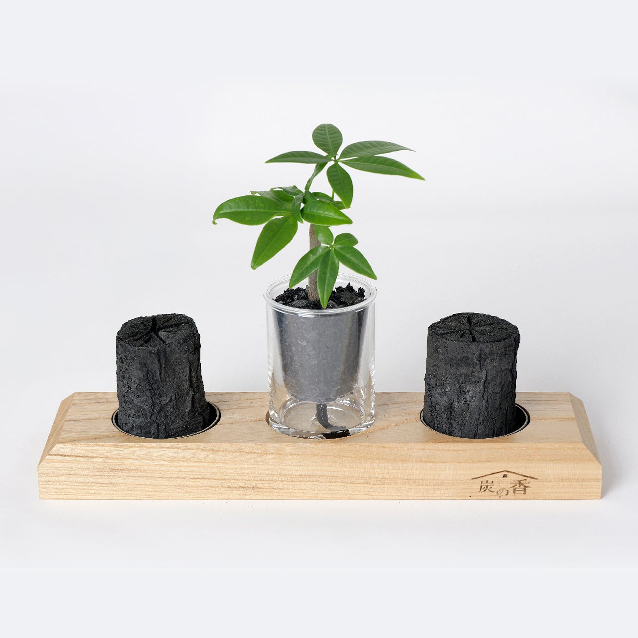 炭の樹 5鉢セット | sumino